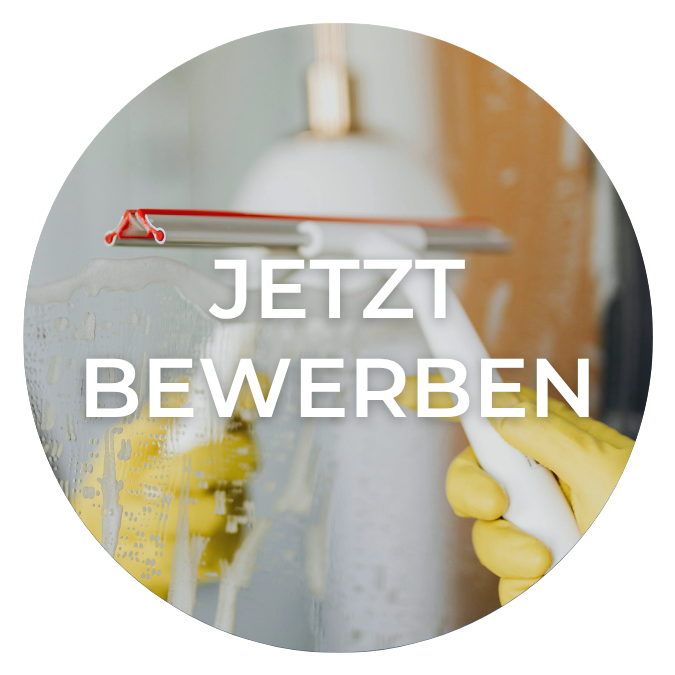 Hauswirtschaftskraft